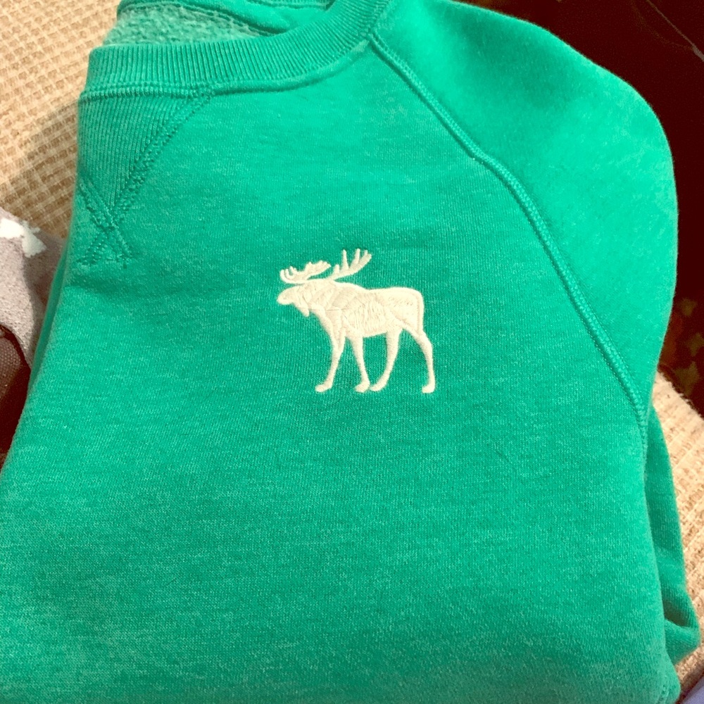 Abercrombie and Fitch sweatshirt